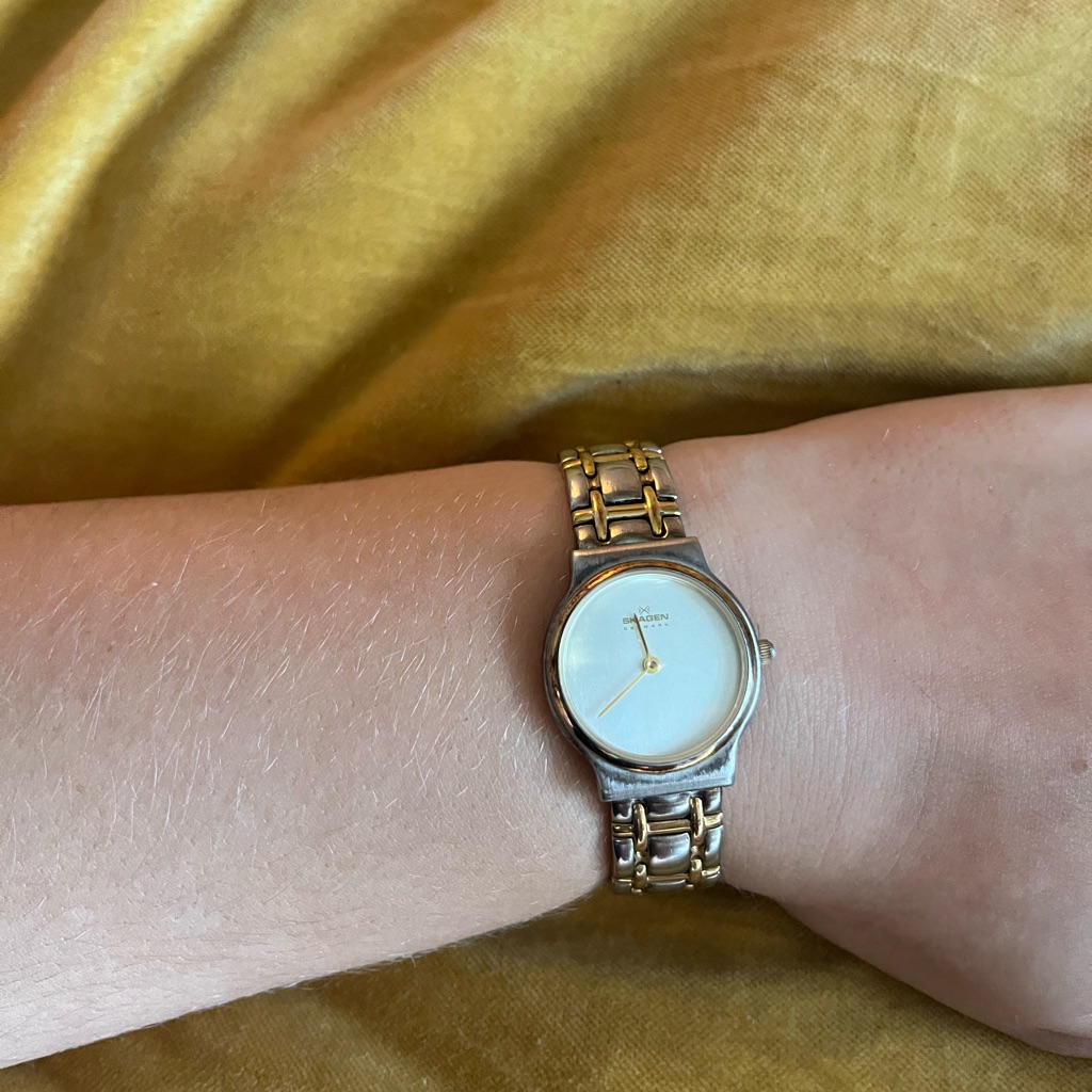 Skagen Gold And Silver Watch